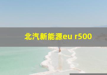 北汽新能源eu r500